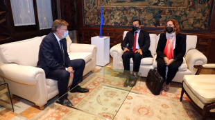 Puig, Murthy e Ibáñez