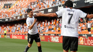Soler y Guedes