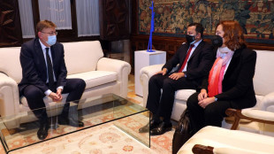 Puig, Murthy e Ibáñez