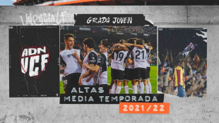 Grada de animación