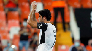 Gonçalo Guedes