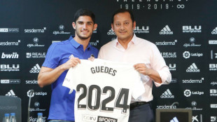 Gonçalo Guedes