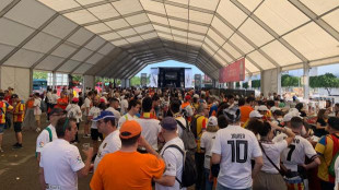 Fan Zone