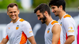 Soler y Gayà