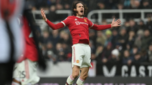 Cavani