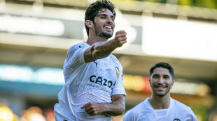 Gonçalo Guedes