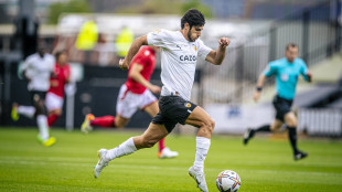 Gonçalo Guedes