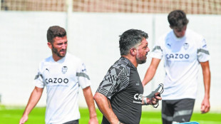 Gaya y Gattuso