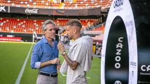Corona y Castillejo