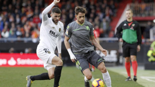 Adnan Januzaj