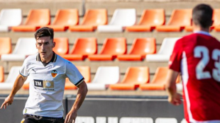 Valencia-Forest