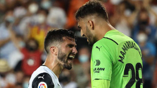 Gayà y Mamardashvili